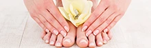 Nexus Nails & Pedi Spa